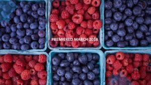 DISH Case Study - Premiere